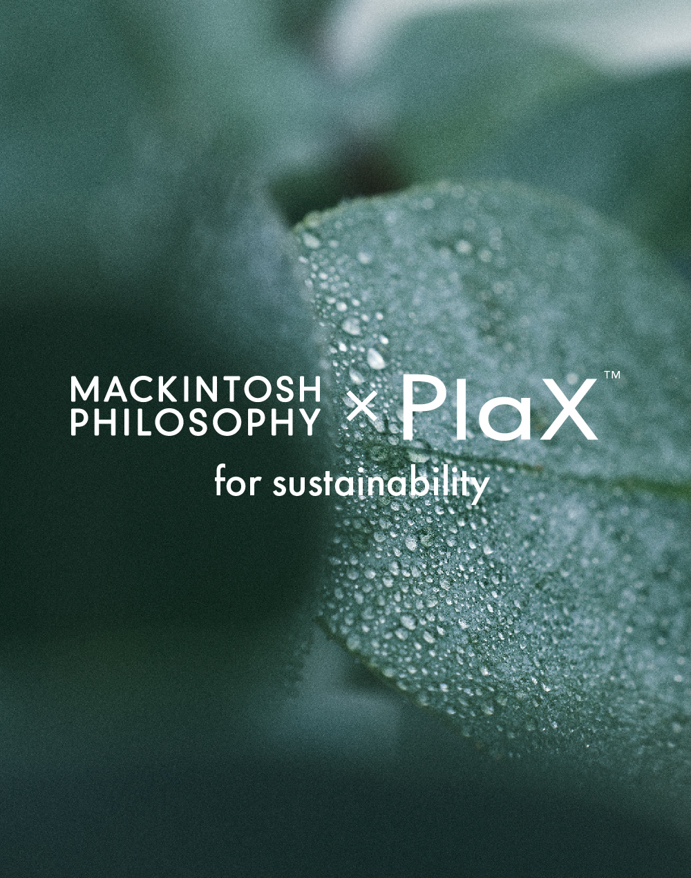 マッキントッシュ フィロソフィー ×　PLAX